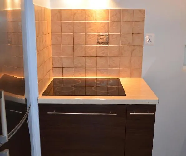 Raffi 公寓 克拉科夫