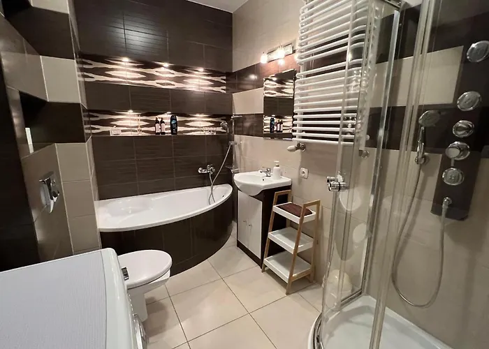 公寓 Raffi 克拉科夫