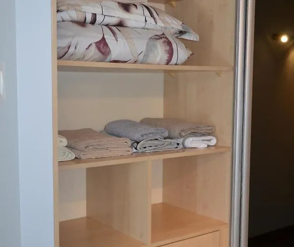 公寓 Raffi 克拉科夫